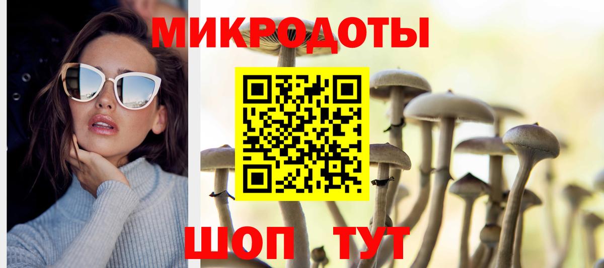 Псилоцибиновые грибы Cubensis  Вход с VPN  Черкесск  Псилоцибиновые грибы Psilocybe 